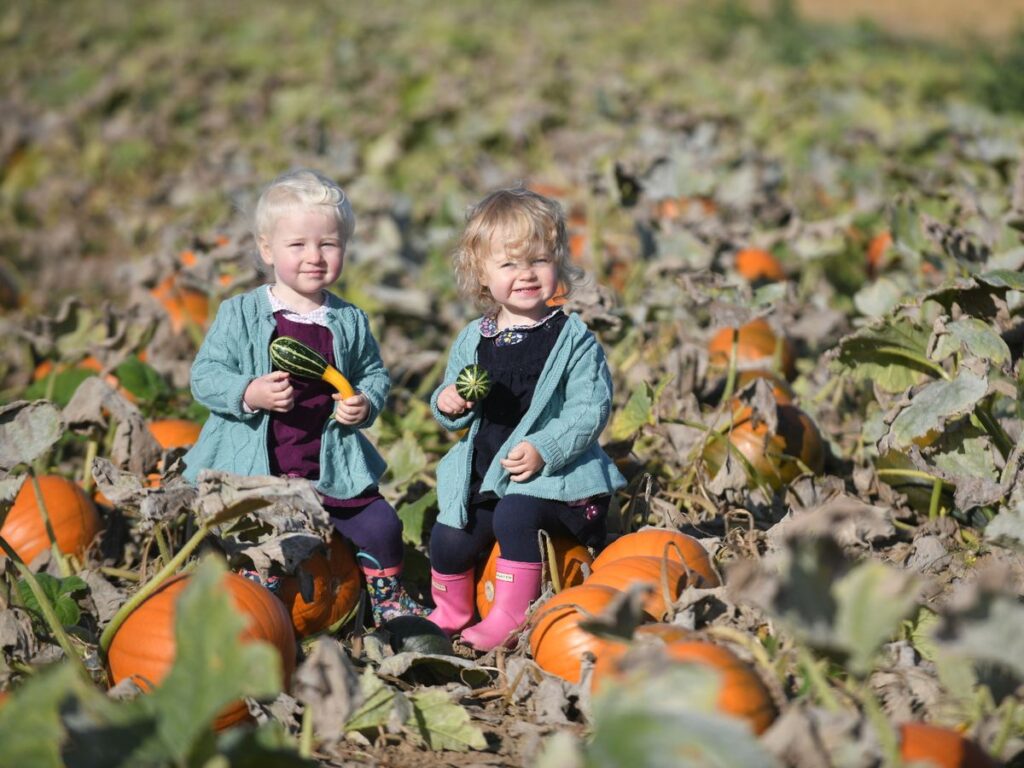 The Pyjama Party Company Pumpkin Pickers